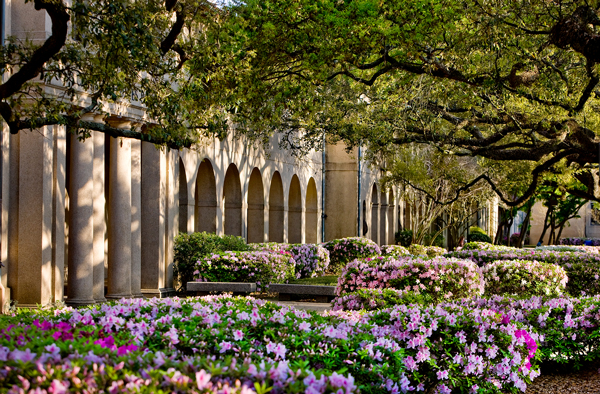 LSU Library